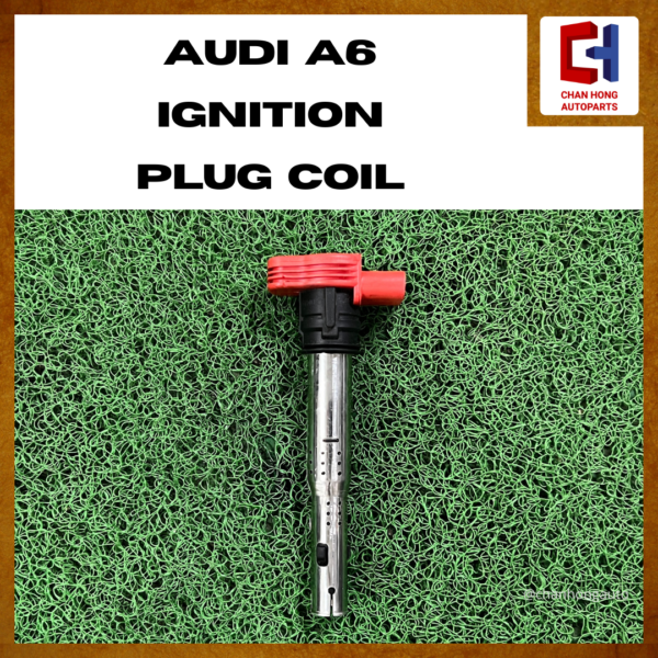 Audi A6 Ignition Plug Coil [R0602S00300][Original from Germany][Used] - Image 2