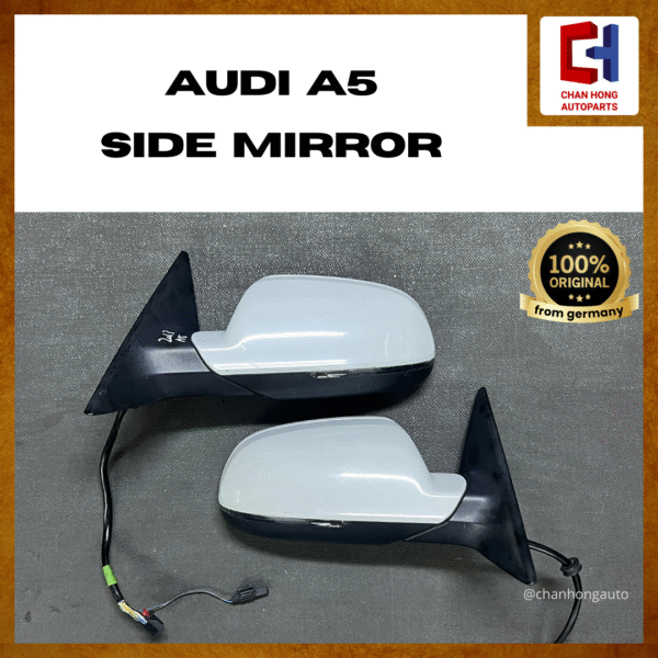 Audi A5 Side Mirror [021053][Original from Germany][Used]